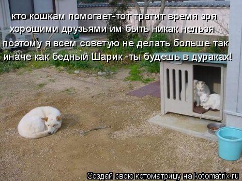 кто кошкам помогает-тот тратит время зря хорошими друзьями им быть никак нельзя поэтому я всем совету... Котоматрица: кто кошкам помогает-тот тратит время зря хорошими друзьями им быть никак нельзя поэтому я всем советую не делать больше так иначе как бедны