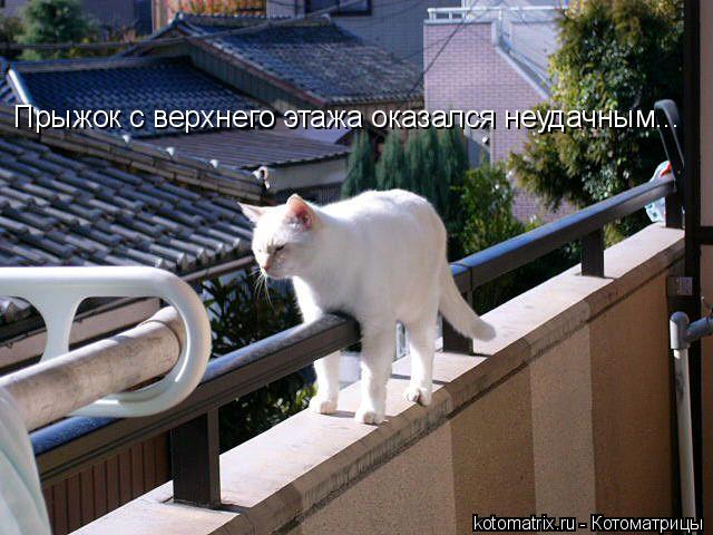 Прыжок с верхнего этажа оказался неудачным...... Котоматрица: Прыжок с верхнего этажа оказался неудачным...