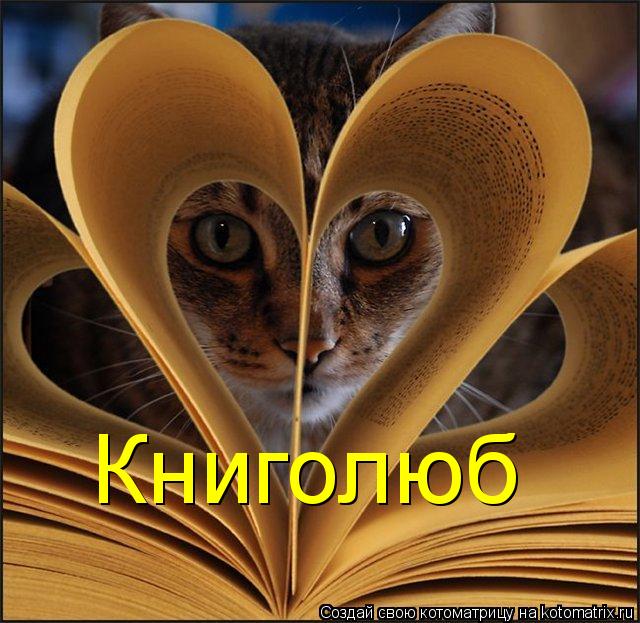 Книголюб... Котоматрица: Книголюб