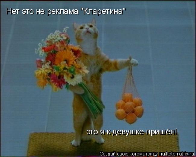 Нет это не реклама "Кларетина" это я к девушке пришёл!... Котоматрица: Нет это не реклама "Кларетина" это я к девушке пришёл!