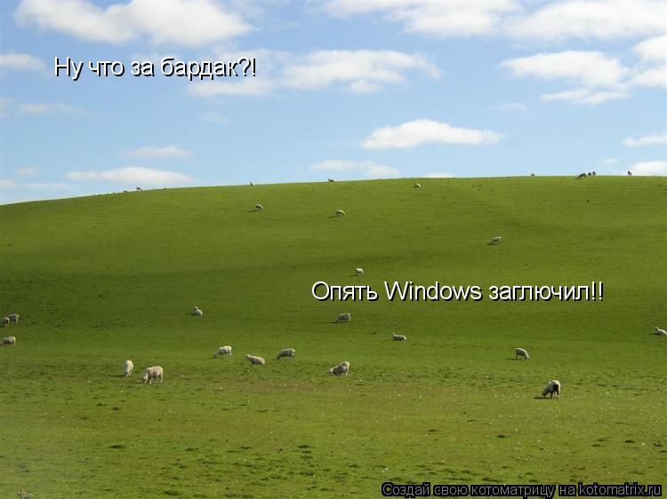 Ну что за бардак?! Опять Windows заглючил!!... Котоматрица: Ну что за бардак?! Опять Windows заглючил!!