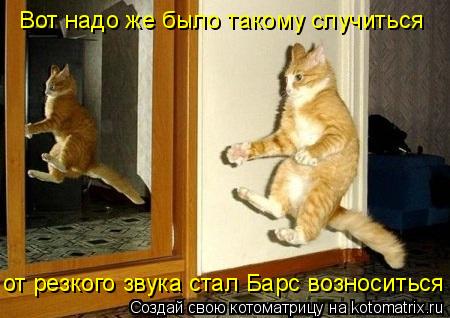 от резкого звука стал Барс возноситься Вот надо же было такому случиться... Котоматрица: от резкого звука стал Барс возноситься Вот надо же было такому случиться