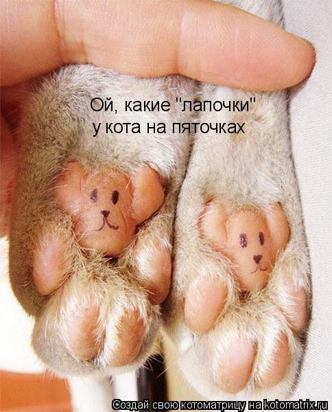 Ой, какие "лапочки" у кота на пяточках... Котоматрица: Ой, какие "лапочки" у кота на пяточках