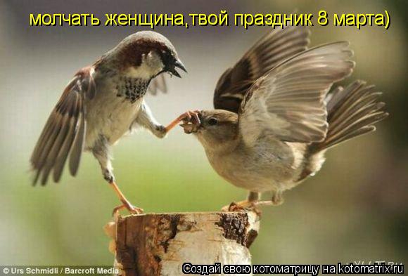 молчать женщина,твой праздник 8 марта) молчать женщина,твой праздник 8 марта)... Котоматрица: молчать женщина,твой праздник 8 марта) молчать женщина,твой праздник 8 марта)
