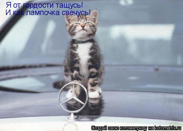Я от гордости тащусь! И как лампочка свечусь!... Котоматрица: Я от гордости тащусь! И как лампочка свечусь!