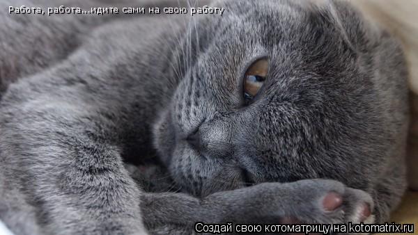 Работа, работа...идите сами на свою работу... Котоматрица: Работа, работа...идите сами на свою работу