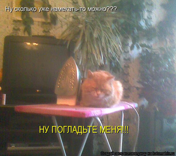 Ну сколько уже намекать-то можно??? НУ ПОГЛАДЬТЕ МЕНЯ!!!... Котоматрица: Ну сколько уже намекать-то можно??? НУ ПОГЛАДЬТЕ МЕНЯ!!!