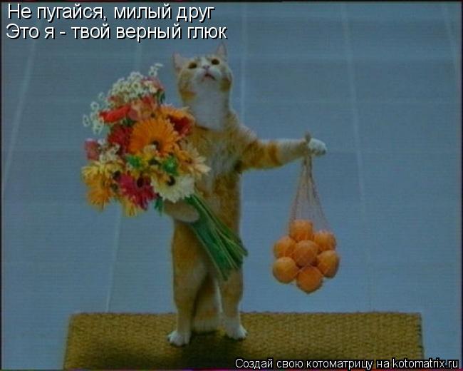 Не пугайся, милый друг Это я - твой верный глюк... Котоматрица: Не пугайся, милый друг Это я - твой верный глюк