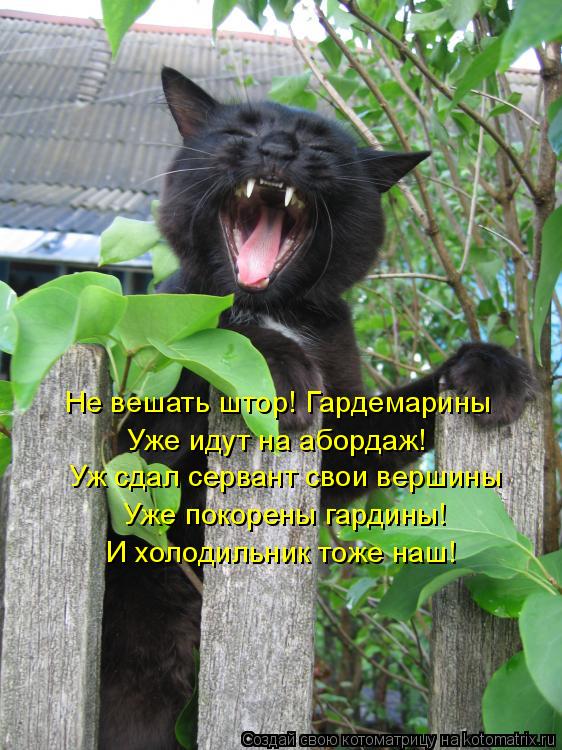 Не вешать штор! Гардемарины Уже идут на абордаж! Уж сдал сервант свои вершины Уже покорены гардины! И... Котоматрица: Не вешать штор! Гардемарины Уже идут на абордаж! Уж сдал сервант свои вершины Уже покорены гардины! И холодильник тоже наш!