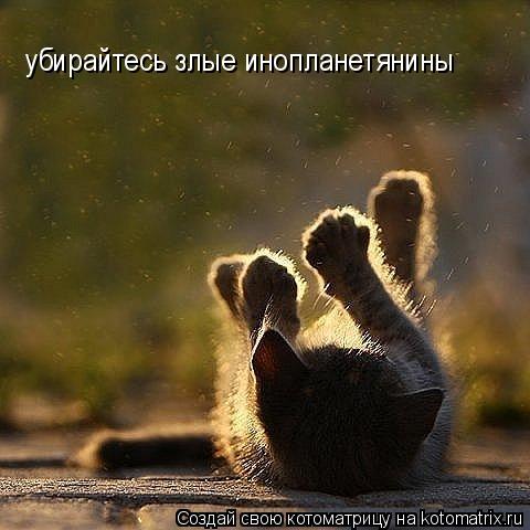 Котоматрица: убирайтесь злые инопланетянины