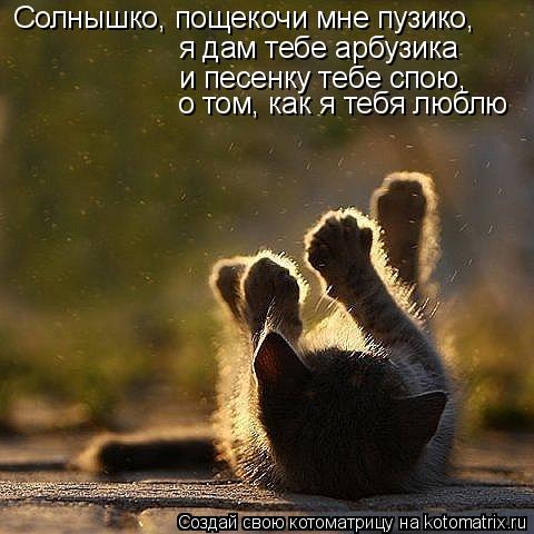Котоматрица: Солнышко, пощекочи мне пузико,   я дам тебе арбузика  и песенку тебе спою, о том, как я тебя люблю