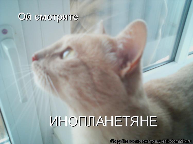 Котоматрица: Ой смотрите  ИНОПЛАНЕТЯНЕ
