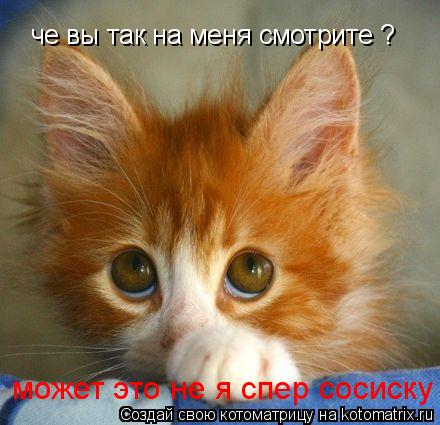 Котоматрица: че вы так на меня смотрите ? может это не я спер сосиску