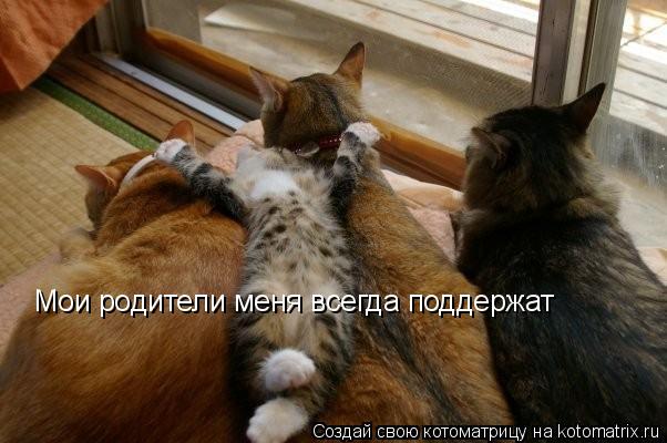Котоматрица: Мои родители меня всегда поддержат