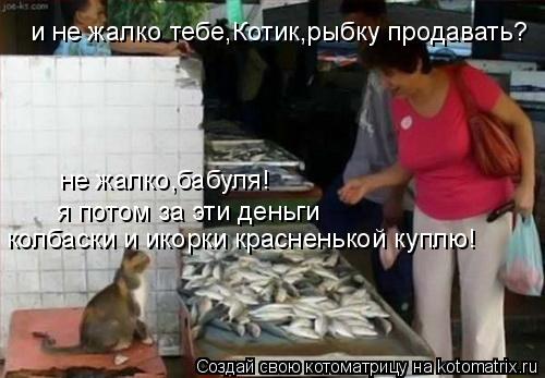 и не жалко тебе,Котик,рыбку продавать? не жалко,бабуля! я потом за эти деньги колбаски и икорки красн... Котоматрица: и не жалко тебе,Котик,рыбку продавать? не жалко,бабуля! я потом за эти деньги колбаски и икорки красненькой куплю!