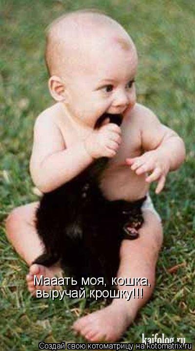 Мааать моя, кошка, выручай крошку!!!... Котоматрица: Мааать моя, кошка, выручай крошку!!!