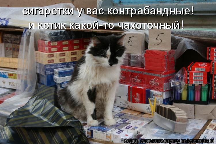сигаретки у вас контрабандные! и котик какой-то чахоточный!... Котоматрица: сигаретки у вас контрабандные! и котик какой-то чахоточный!