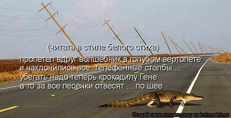пролетел вдруг волшебник в голубом вертолете и наклонились все телефонные столбы.... убегать надо те... Котоматрица: пролетел вдруг волшебник в голубом вертолете и наклонились все телефонные столбы.... убегать надо теперь крокодилу Гене а то за все песенки