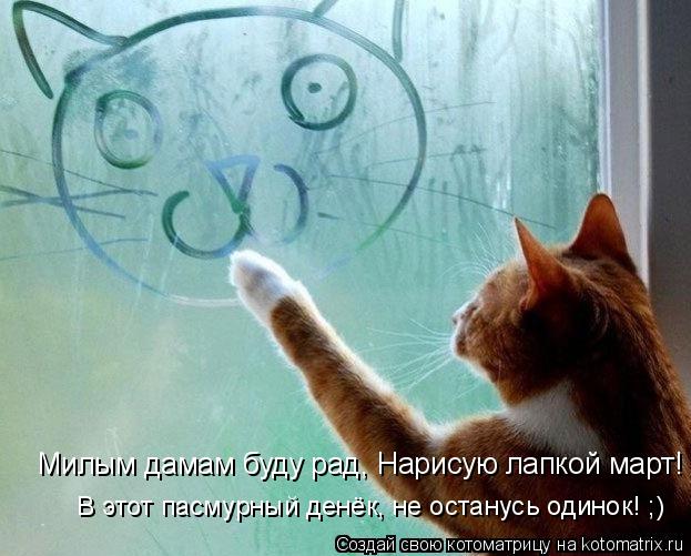Милым дамам буду рад, Нарисую лапкой март! В этот пасмурный денёк, не останусь одинок! ;)... Котоматрица: Милым дамам буду рад, Нарисую лапкой март! В этот пасмурный денёк, не останусь одинок! ;)