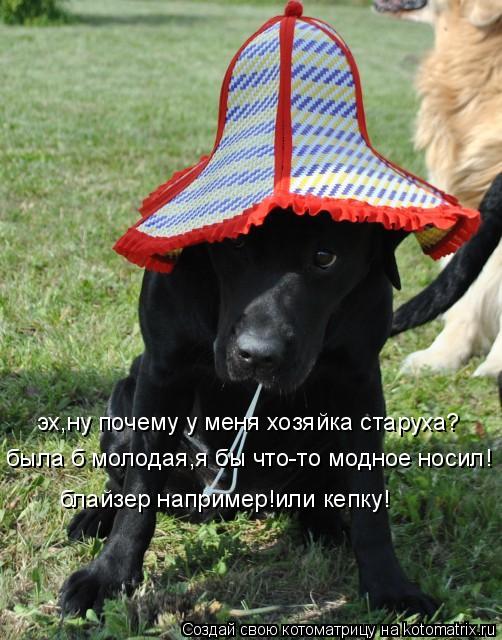 была б молодая,я бы что-то модное носил! блайзер например!или кепку! эх,ну почему у меня хозяйка стар... Котоматрица: была б молодая,я бы что-то модное носил! блайзер например!или кепку! эх,ну почему у меня хозяйка старуха?