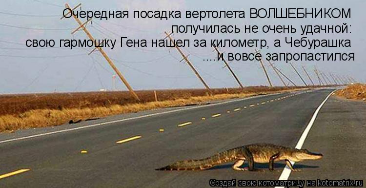 Очередная посадка вертолета ВОЛШЕБНИКОМ получилась не очень удачной: свою гармошку Гена нашел за кило... Котоматрица: Очередная посадка вертолета ВОЛШЕБНИКОМ получилась не очень удачной: свою гармошку Гена нашел за километр, а Чебурашка ....и вовсе запропас