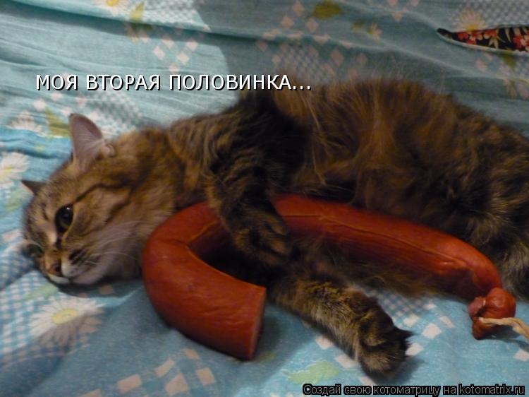 МОЯ ВТОРАЯ ПОЛОВИНКА...... Котоматрица: МОЯ ВТОРАЯ ПОЛОВИНКА...