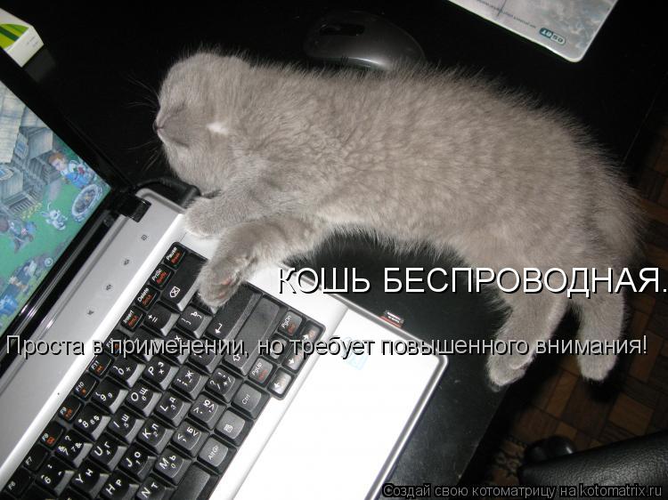 КОШЬ БЕСПРОВОДНАЯ. Проста в применении, но требует повышенного внимания!... Котоматрица: КОШЬ БЕСПРОВОДНАЯ. Проста в применении, но требует повышенного внимания!