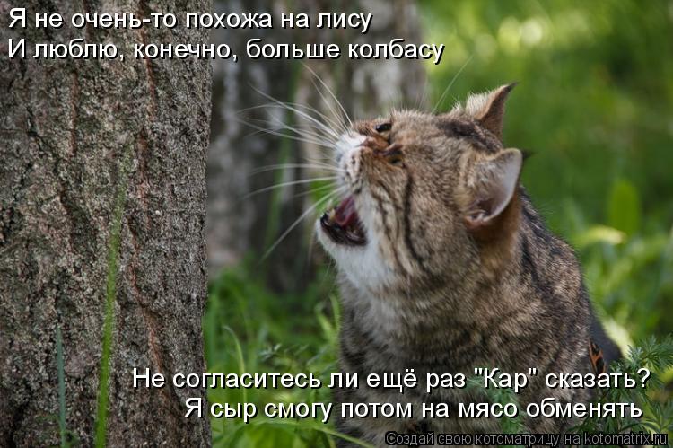 Не согласитесь ли ещё раз "Кар" сказать? Я сыр смогу потом на мясо обменять Я не очень-то похожа на л... Котоматрица: Не согласитесь ли ещё раз "Кар" сказать? Я сыр смогу потом на мясо обменять Я не очень-то похожа на лису И люблю, конечно, больше колбасу