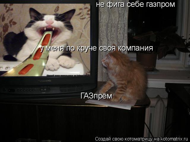 Котоматрица: не фига себе газпром у меня по круче своя компания ГАЗпрём