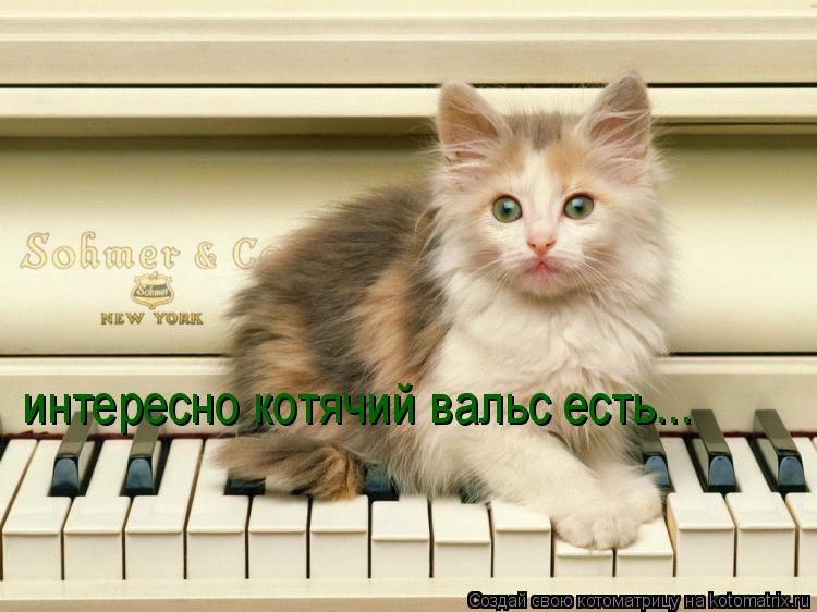Котоматрица: интересно котячий вальс есть...