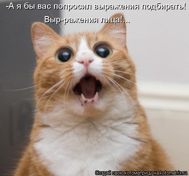 Котоматрица: -А я бы вас попросил выражения подбирать! Выр-ражения лица!...