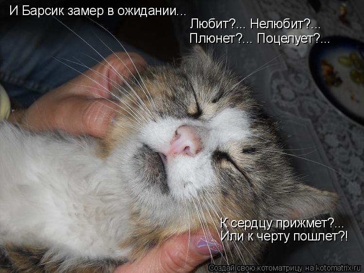 Котоматрица: И Барсик замер в ожидании... Любит?... Нелюбит?... Плюнет?... Поцелует?... К сердцу прижмет?...  Или к черту пошлет?!