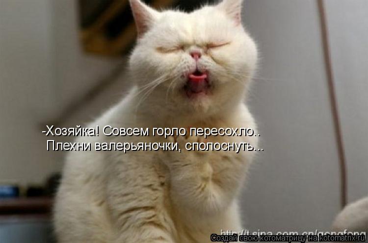Котоматрица: -Хозяйка! Совсем горло пересохло.. Плехни валерьяночки, сполоснуть...