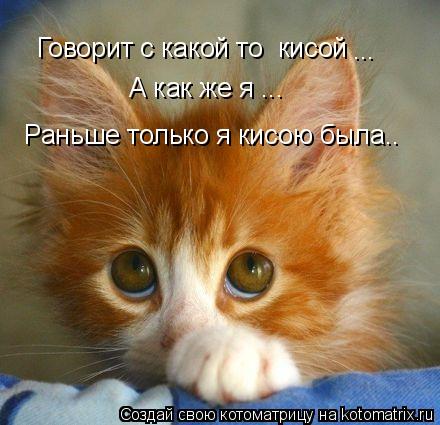 Котоматрица: Говорит с какой то  кисой А как же я ...  Раньше только я кисою была.. ...