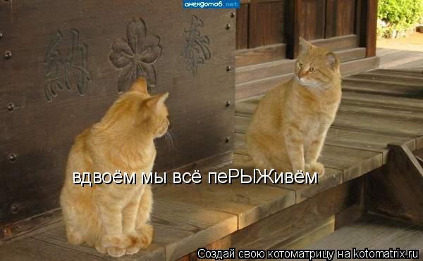 Котоматрица: вдвоём мы всё пеРЫЖивём