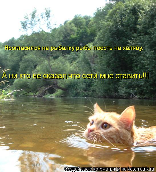 Котоматрица: Ясогласился на рыбалку рыбы поесть на халяву. А ни кто не сказал,что сети мне ставить!!!