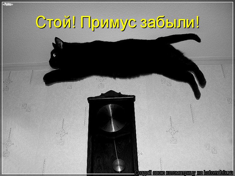Стой! Примус забыли!... Котоматрица: Стой! Примус забыли!