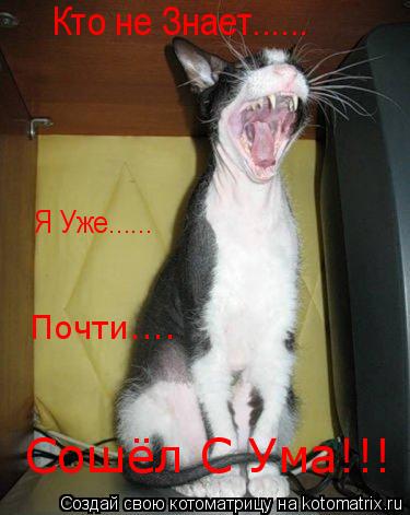 Кто не Знает...... Я Уже...... Сошёл С Ума!!! Почти....... Котоматрица: Кто не Знает...... Я Уже...... Сошёл С Ума!!! Почти....