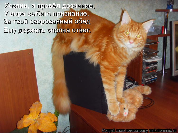 Хозяин, я провёл дозниние, У вора выбито признание. За твой сворованный обед Ему держать сполна ответ... Котоматрица: Хозяин, я провёл дозниние, У вора выбито признание. За твой сворованный обед Ему держать сполна ответ.