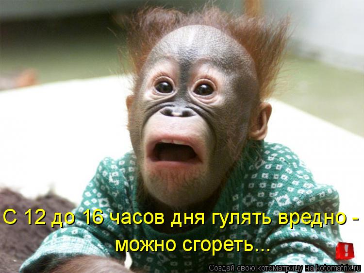 С 12 до 16 часов дня гулять вредно - можно сгореть...... Котоматрица: С 12 до 16 часов дня гулять вредно - можно сгореть...