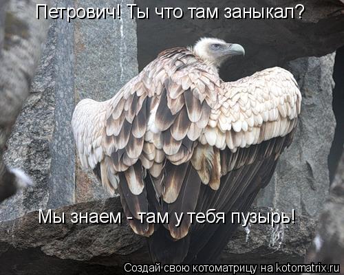 Петрович! Ты что там заныкал? Мы знаем - там у тебя пузырь!... Котоматрица: Петрович! Ты что там заныкал? Мы знаем - там у тебя пузырь!