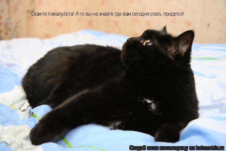 Скажте пожалуйста! А то вы не знаете где вам сегодня спать придется!... Котоматрица: Скажте пожалуйста! А то вы не знаете где вам сегодня спать придется!