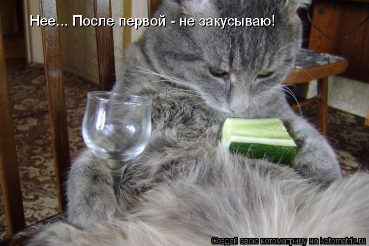 Нее... После первой - не закусываю!... Котоматрица: Нее... После первой - не закусываю!