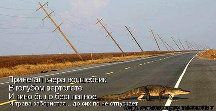 Прилетал вчера волшебник В голубом вертолете И кино было бесплатное И трава забористая... до сих по н... Котоматрица: Прилетал вчера волшебник В голубом вертолете И кино было бесплатное И трава забористая... до сих по не отпускает.