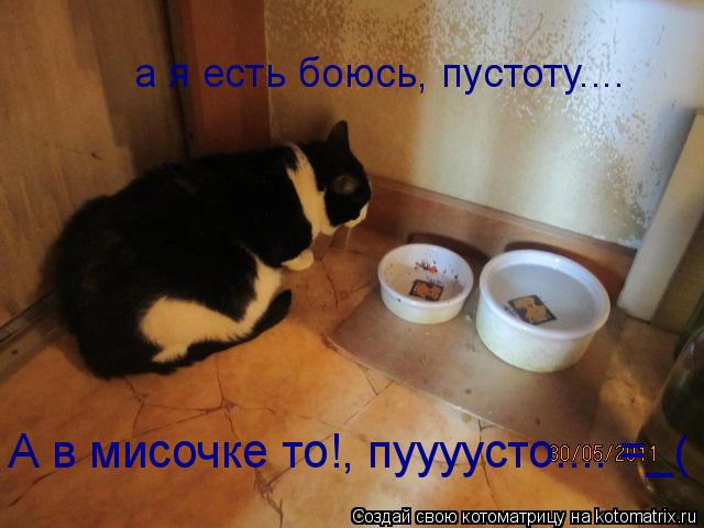 А в мисочке то!, пуууусто.... =_( а я есть боюсь, пустоту....... Котоматрица: А в мисочке то!, пуууусто.... =_( а я есть боюсь, пустоту....