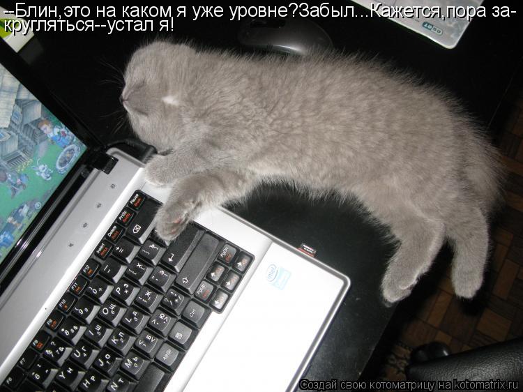 --Блин,это на каком я уже уровне?Забыл...Кажется,пора за- кругляться--устал я!... Котоматрица: --Блин,это на каком я уже уровне?Забыл...Кажется,пора за- кругляться--устал я!