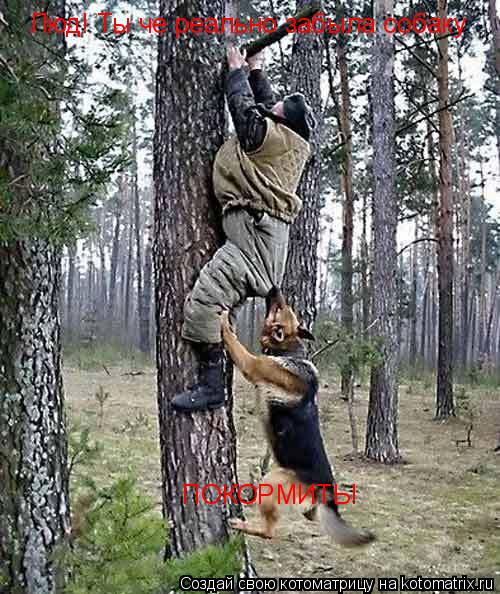 Люд! Ты че реально забыла собаку ПОКОРМИТЬ! ПОКОРМИТЬ!... Котоматрица: Люд! Ты че реально забыла собаку ПОКОРМИТЬ! ПОКОРМИТЬ!