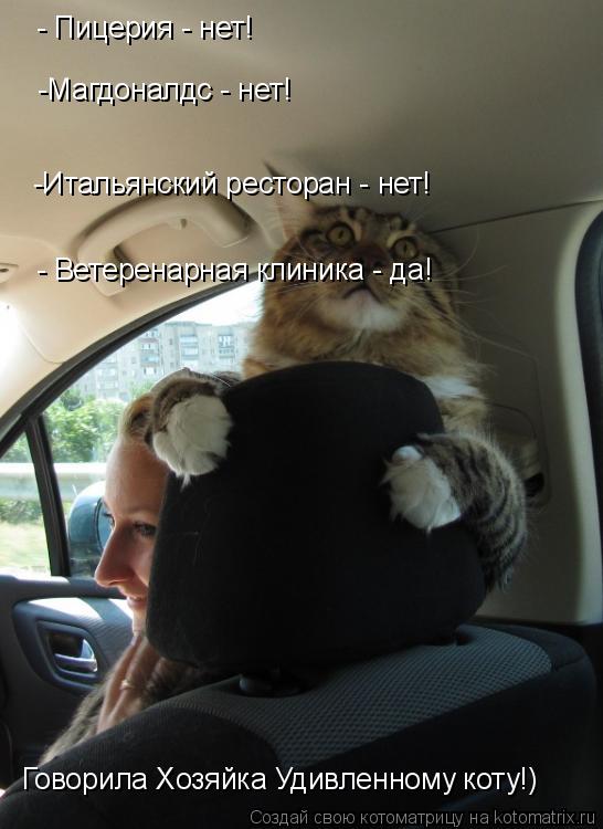 - Пицерия - нет! -Магдоналдс - нет! -Итальянский ресторан - нет! - Ветеренарная клиника - да! Говорил... Котоматрица: - Пицерия - нет! -Магдоналдс - нет! -Итальянский ресторан - нет! - Ветеренарная клиника - да! Говорила Хозяйка Удивленному коту!)