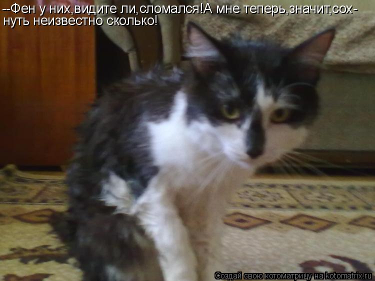 Котоматрица: --Фен у них,видите ли,сломался!А мне теперь,значит,сох- нуть неизвестно сколько!