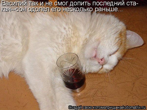 Котоматрица: Василий так и не смог допить последний ста- кан--сон одолел его несколько раньше...